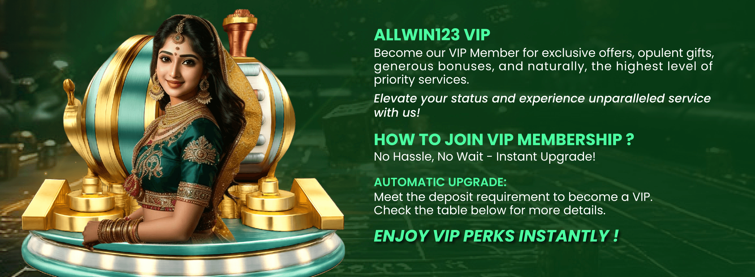 VIP Banner