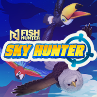 Sky Hunter