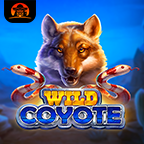 Wild Coyote