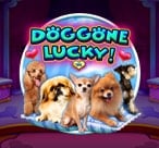 Doggone Lucky!