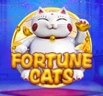 Fortune Cats