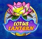 Lotus Lantern