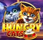 Hungry Cats