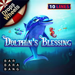 Dolphin’s Blessing
