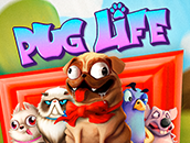 Pug Life