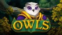 Owls DNT