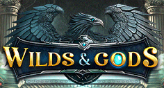 Wild & Gods